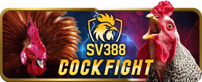 Hỗ trợ 24/7 af888