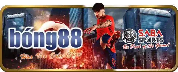 Các chương trình ưu đãi đặc biệt af888